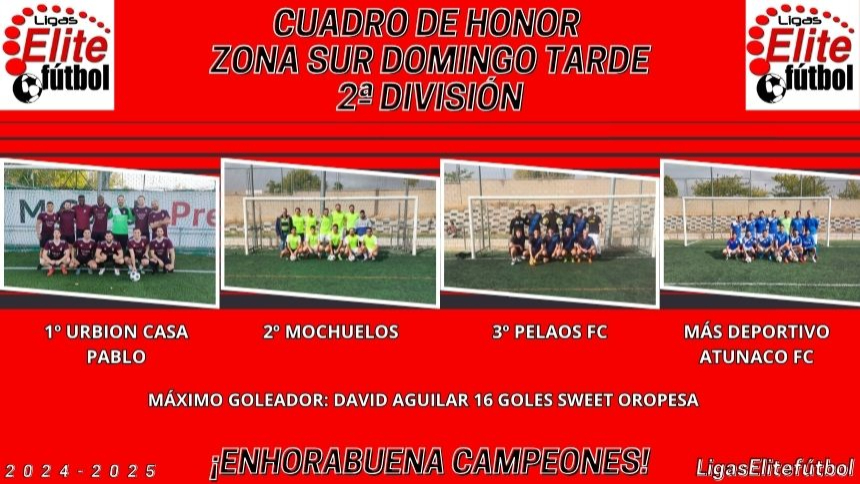 CUADRO DE HONOR. ZONA SUR DOMINGO TARDE 2ª DIVISIÓN